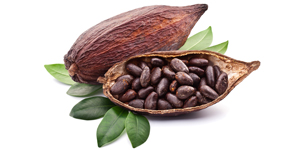 5 características del cacao que no conocías